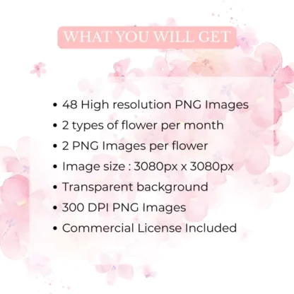 Birth Month Flowers Clipart Bundle | Transparent PNG Clipart - Image 8